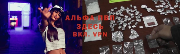 твердый Богородск