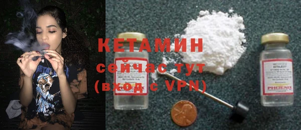 прущие грибы Струнино