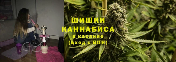 тгк Богородицк